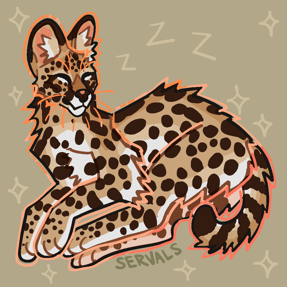 servals 🌿🏞️🌻 tweet media