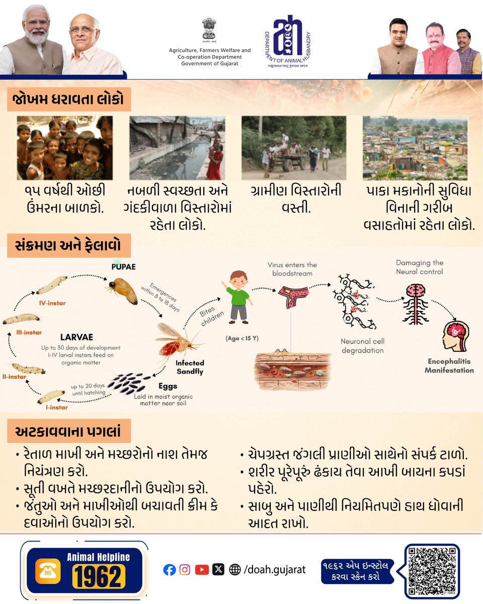 DoahGujarat's tweet photo. 🦟 ચાંદીપુરા વાયરસ અંગે જાગૃત રહો, બાળકોને સુરક્ષિત રાખો! સ્વચ્છતા, રેતાળ માખીનું નિયંત્રણ અને સમયસર સારવારથી ગંભીર જોખમને ટાળી શકાય છે. 🛡️

#ChandipuraVirus #PublicHealth #DiseaseAwareness #ChildHealth https://t.co/Ixsce0hp8d