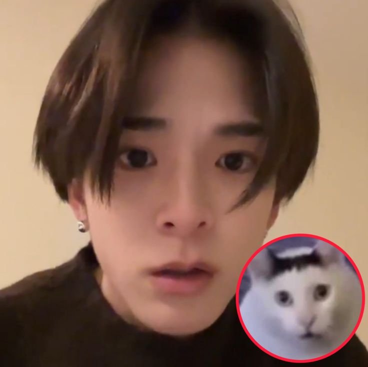 jsahigoofy's tweet photo. anyone see my cat? he's missing https://t.co/WgNBXceP6g