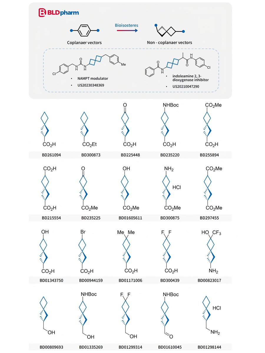 BldPharm's tweet photo. #BLDseries 🔥 Spiro[3.3]heptanes

Spiro[3.3]heptane is a rigid, saturated spirocyclic hydrocarbon composed of two cyclobutane rings connected through a shared quaternary carbon atom. As a highly three-dimensional scaffold with well-defined geometry, it has attracted increasing attention in medicinal chemistry as a bioisostere for benzene, offering the potential to improve physicochemical properties such as solubility, metabolic stability, and spatial diversity. Recent applications of this motif have been reported in drug discovery programs, including a NAMPT modulator (US20230348369) and an indoleamine 2,3-dioxygenase inhibitor (US20210047290).

👇 Try BLDpharm's spiro[3.3]heptanes in your research!
🛒 https://t.co/x8dmDHp8w7