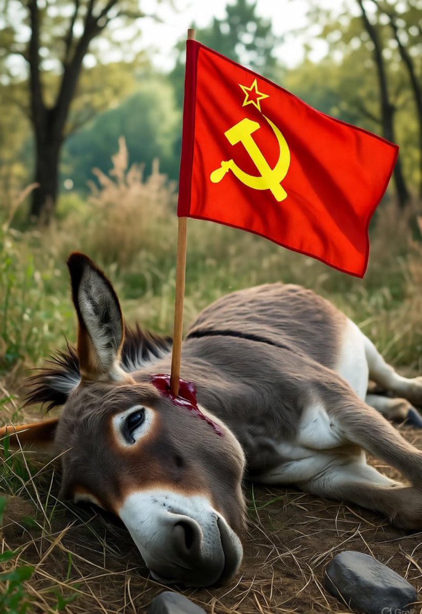 ColinFr39989583's tweet photo. @hakeemjeffries @CalltoActivism Hey Dumbass, extremist Communists are taking over your precious Democrat Party and you’re powerless to stop them. Wave the white flag fella or rollover and let the inevitable happen. https://t.co/tusQm7Mcmz