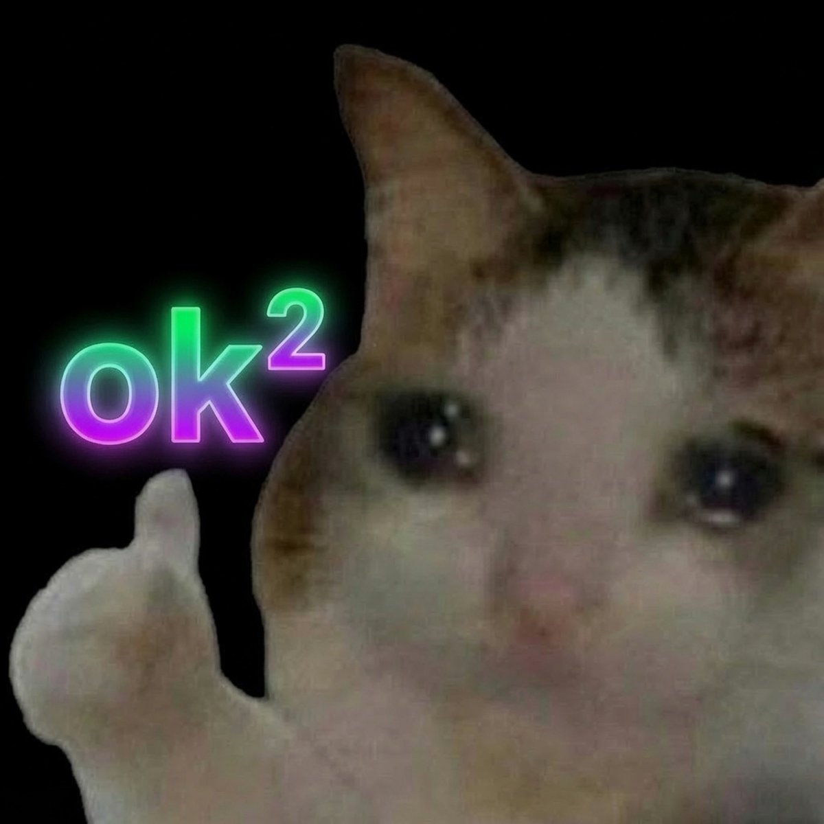 MemeBeacon's tweet photo. @fxnction $ok loading solami https://t.co/axyi0G8c9s