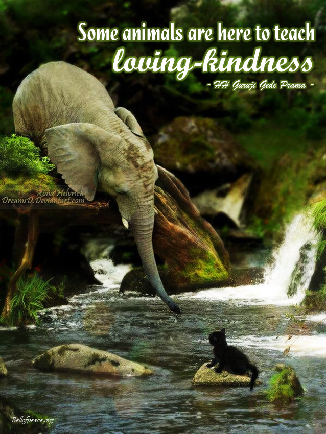 gede_prama's tweet photo. Some animals are here... #bali #love #peace #meditation #JoyTrain
https://t.co/w45WpLfhlg
Photo courtesy: Pinterest https://t.co/5NU10lAryK