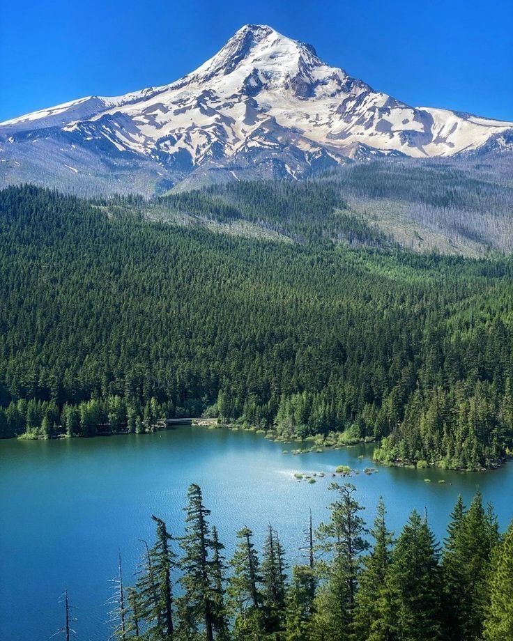 WorldGloryy0786's tweet photo. Mount Hood, Oregon USA 🇺🇸 https://t.co/dYezaKpS5p