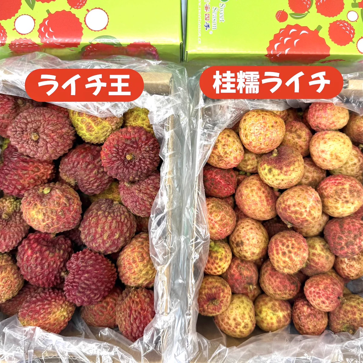 華僑 服務 社