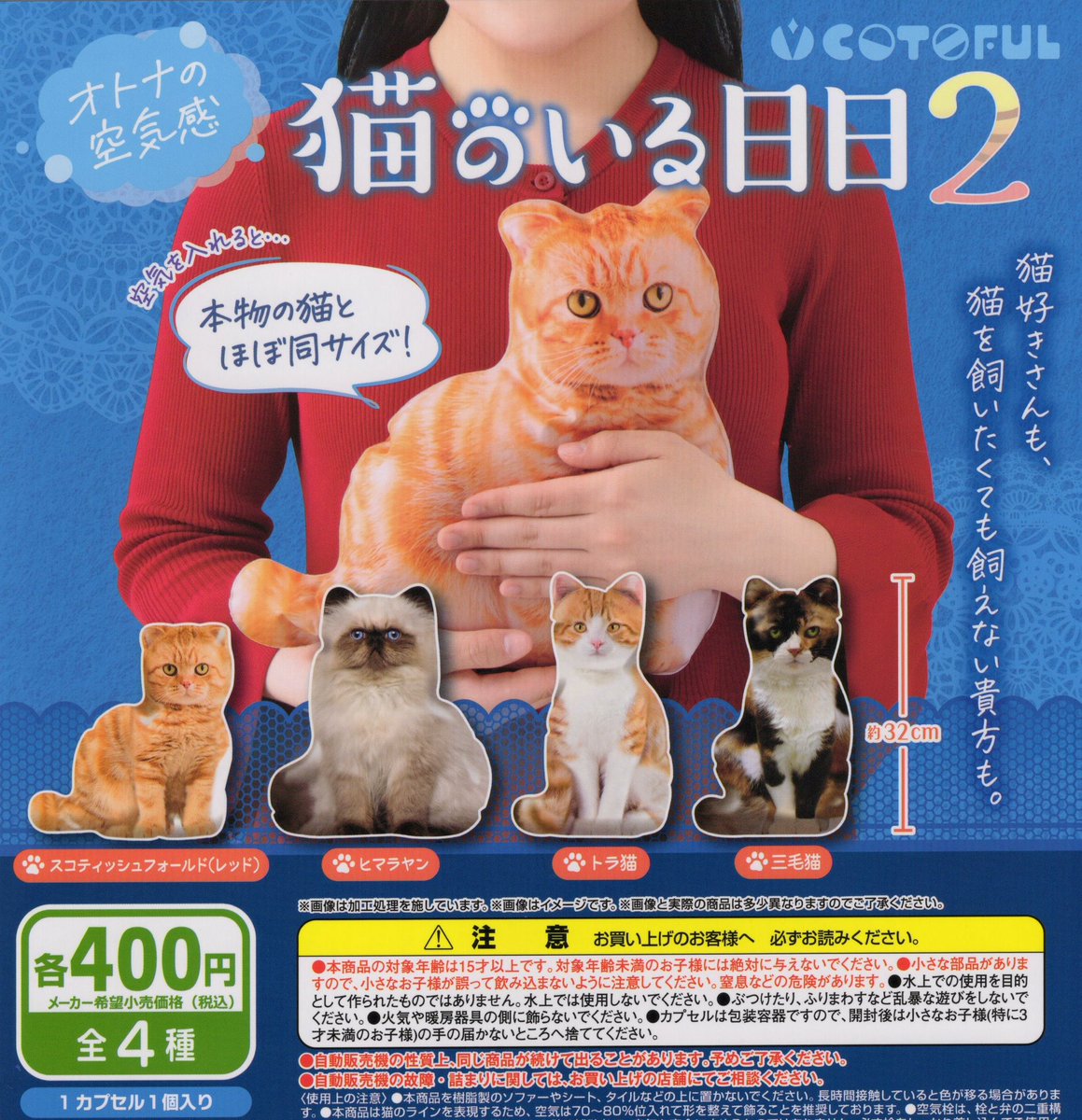 🌻7月15日（水）新入荷情報🌻 🐱猫のいる日日2 📙六法全書 ポーチ