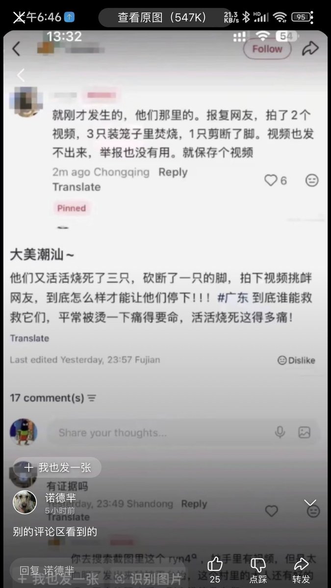出柜的胖熊 tweet media