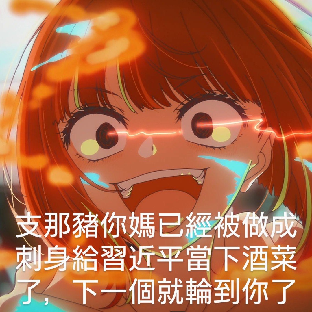 支那猪屠宰师 tweet media