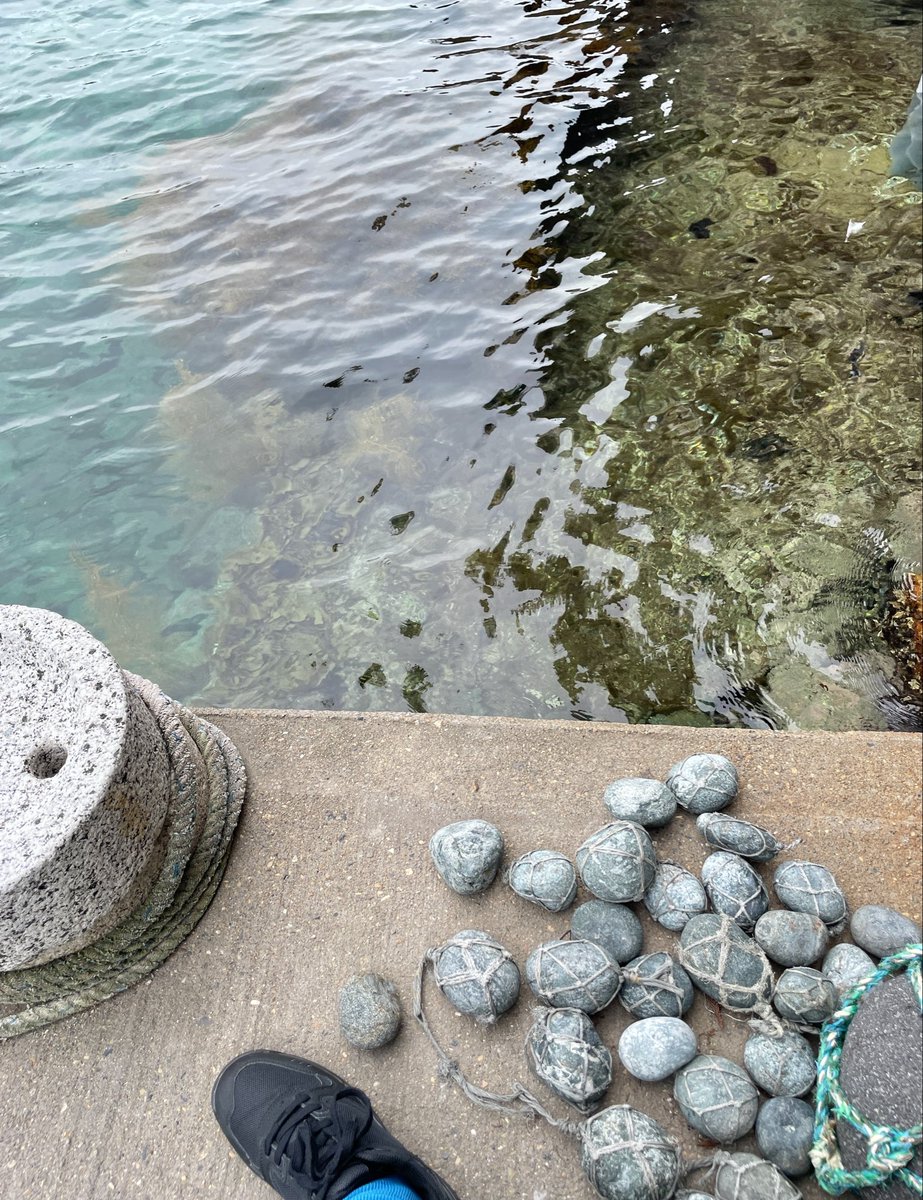 narumisaka's tweet photo. 少し前に京都の海の町へ旅してきました🧳 https://t.co/T9M7OYnssP