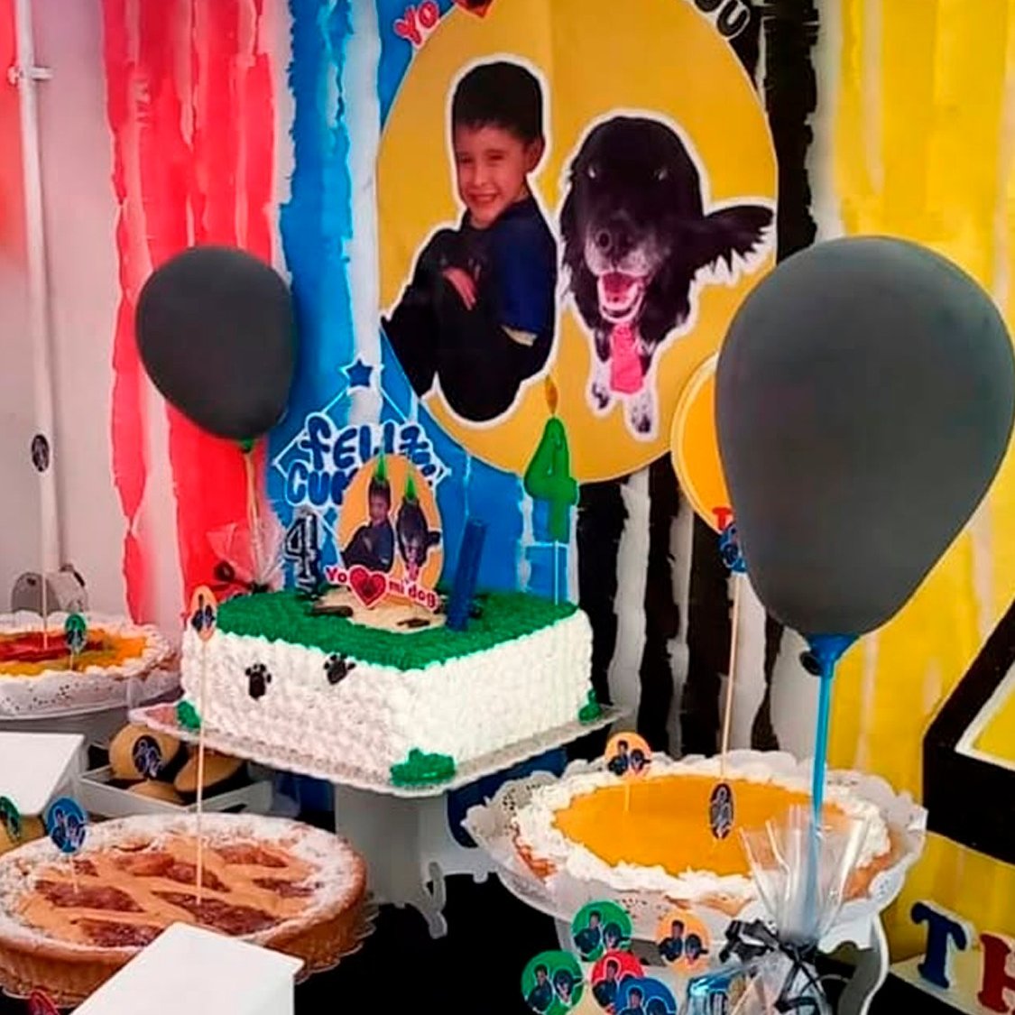AcervoCharts's tweet photo. Menino de 4 anos recusa super-heróis e escolhe seu melhor amigo como tema da própria festa. https://t.co/UEVNLTZG39