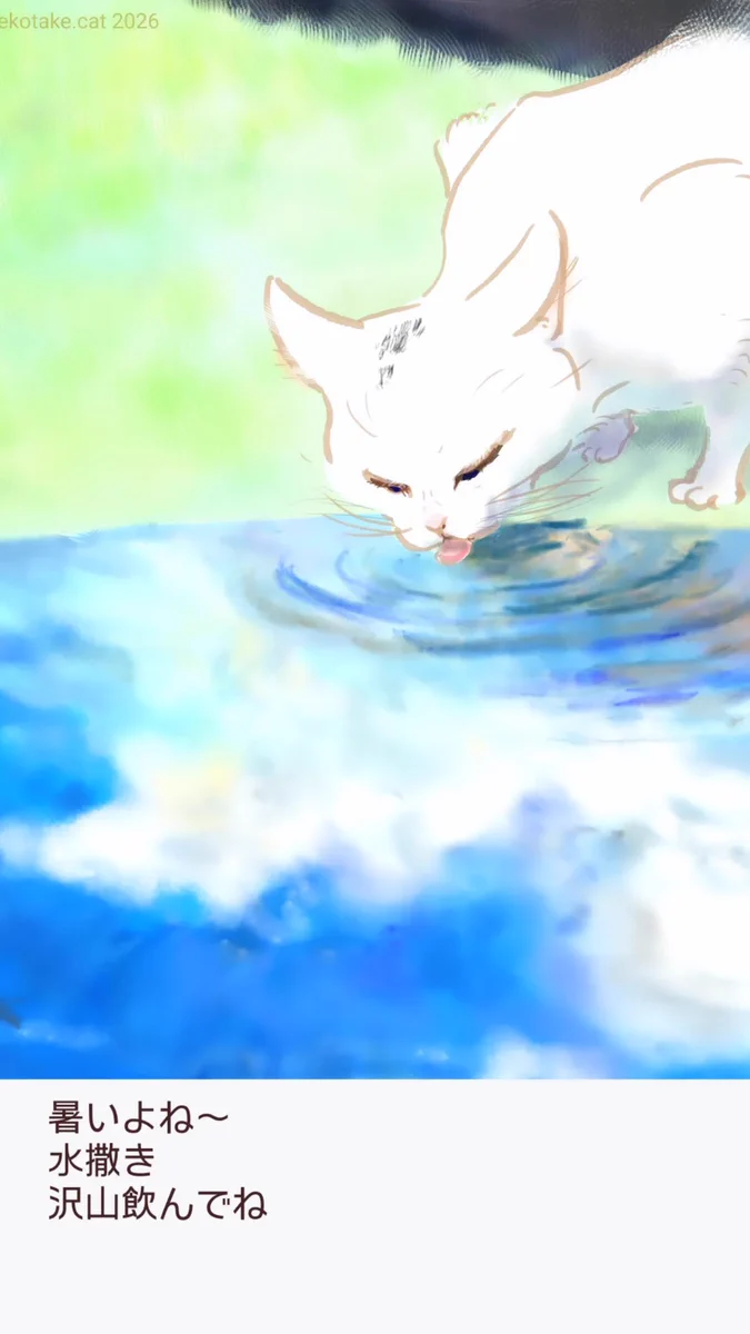 猫竹🍨~9/13ねこ休み展夏(東京)＋9/19～ねこ休み展秋（名古屋）に参加