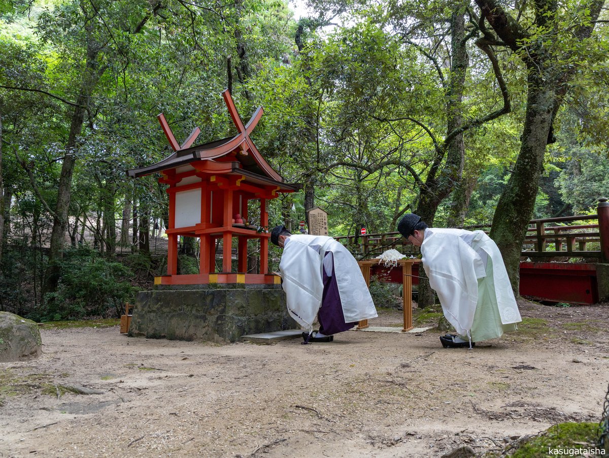 KASUGASHRINE's tweet photo. 午前10時、愛宕神社・聖明神社の例祭が斎行されました。古くは興福寺の四恩院に鎮座されていました。
両神社は水谷川沿いに鎮まる九社のお社を巡拝する「水谷九社めぐり」の社で、愛宕神社は火伏せの神様として信仰が篤く、聖明神社は日々の生活をお守りくださる神様です。#春日大社 #奈良 #神社 https://t.co/5TdI26hyoS
