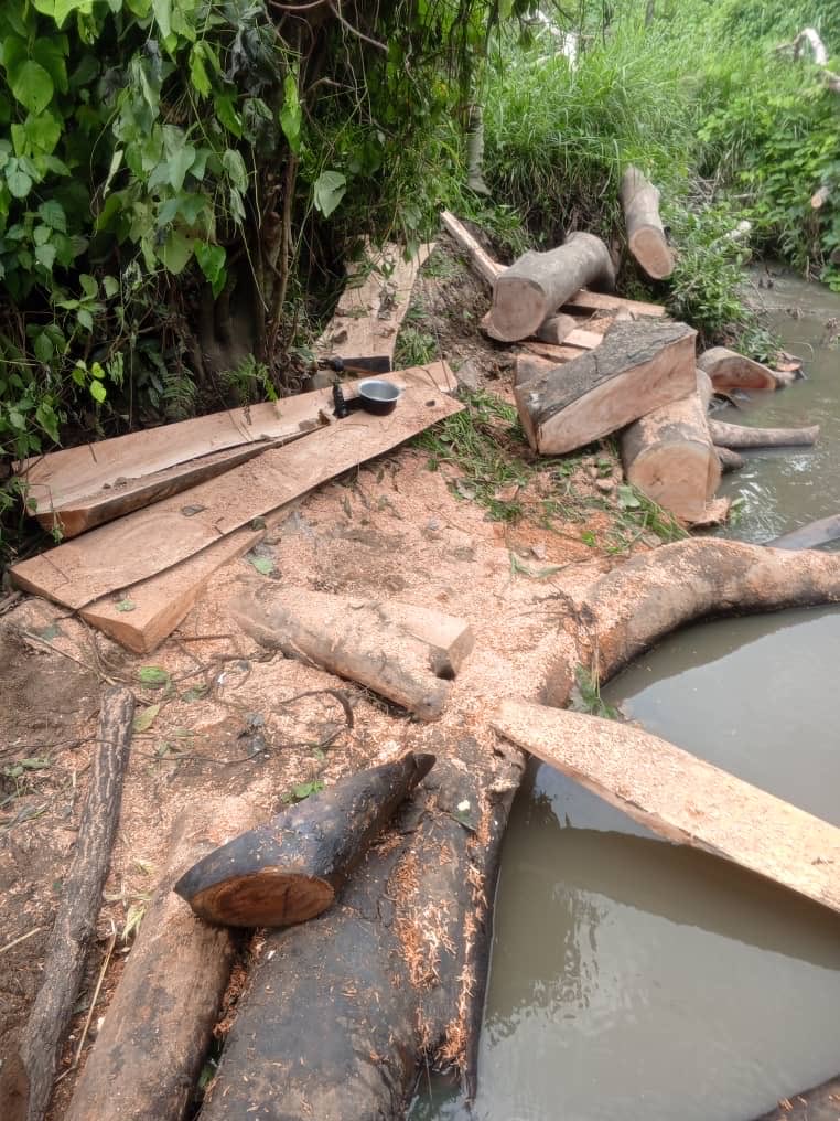 AmanzWillieONE's tweet photo. Zoka Central Forest Reserve is the last high-canopy forest in West Nile.
It is not just trees. It is our rain, our rivers, our medicine, our coffee, our climate shield.
Look! Today, illegal logging, charcoal burning &amp; encroachment are silencing ZOKA FOREST.
This is very SAD! https://t.co/omTehdJ16g