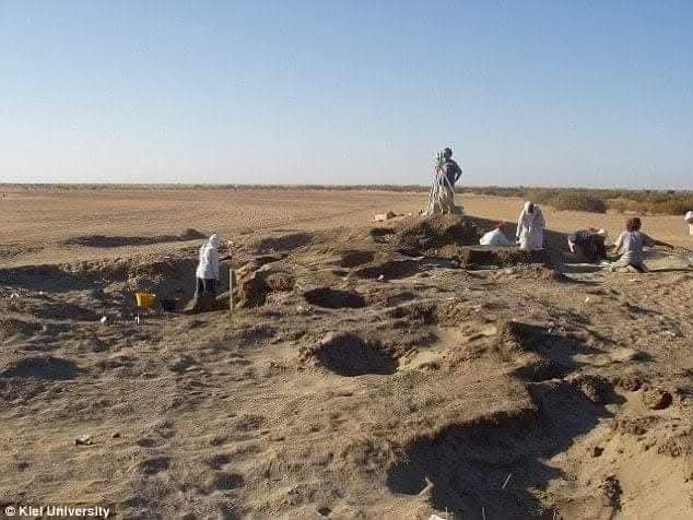 __AbuBaker__'s tweet photo. السودانيين أول من زرع القمح في وادي النيل..

تُظهر هذه الصور عملية تنقيب أثرية لهيكل عظمي من مقبرة تعود للعصر الحجري الحديث في شمال #السودان ، تعود إلى حوالي 7000 عام، عثر الباحثون على بقايا من الشعير والقمح، سواء على أسنان الهيكل العظمي أو ضمن القرابين الجنائزية.. https://t.co/BMsr77EWhH