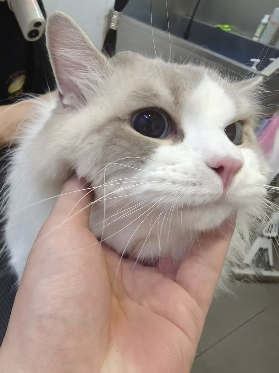 yoming23's tweet photo. 小猪 https://t.co/6knWu4SZWu