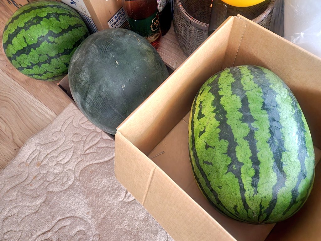 chata19975's tweet photo. 収穫～\( *´꒳`*)/🍉 https://t.co/T8gF3lpxUq