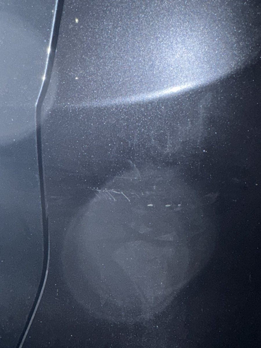 turtlewombats's tweet photo. So a woman who I backed into going 0 mph just gave me a $1800 quote for damage…like I need to have that investigated right she’s def tryna throw shit that’s not me on the bill?  This is the supposed damage i did on her btw and the damage on my car on the right https://t.co/HOw1Bou7Pu