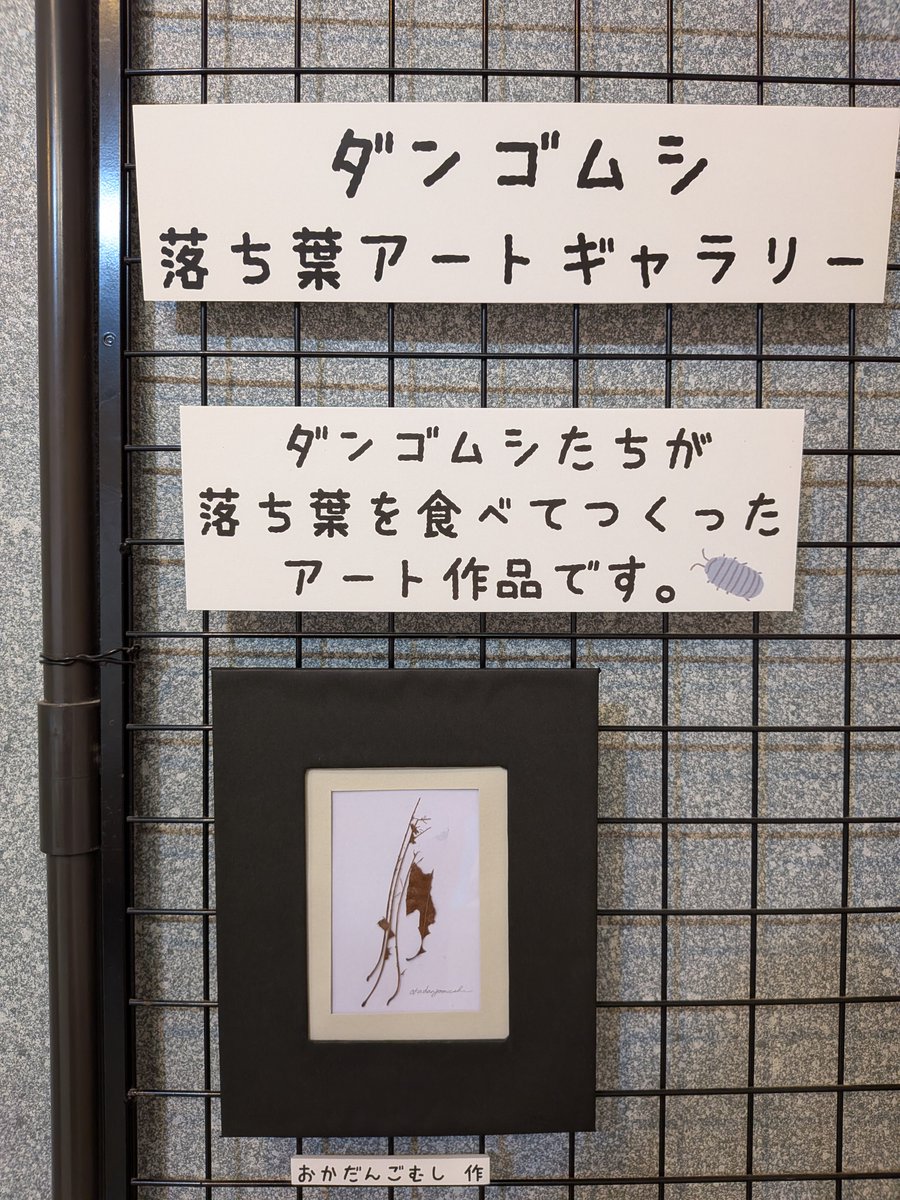 aquapia_akutaga's tweet photo. ダンゴムシ展の「落ち葉アートギャラリー」
この落ち葉アート作品は、どのダンゴムシ？ https://t.co/8y1awIiZh2