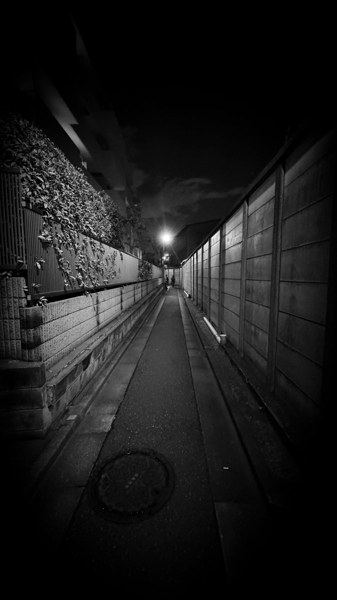 bigmuhaha's tweet photo. This walled passage through our neighborhood goes on and on without an exit. https://t.co/q0EsmBuaRF