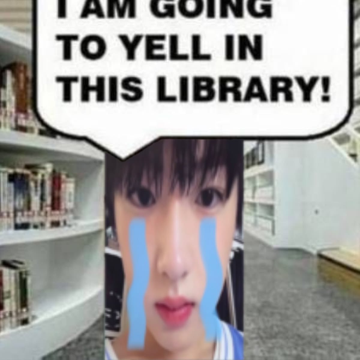 wowwrld's tweet photo. i am going to yell in this library! because i’m going fucking insane https://t.co/TNiKaTQzEw