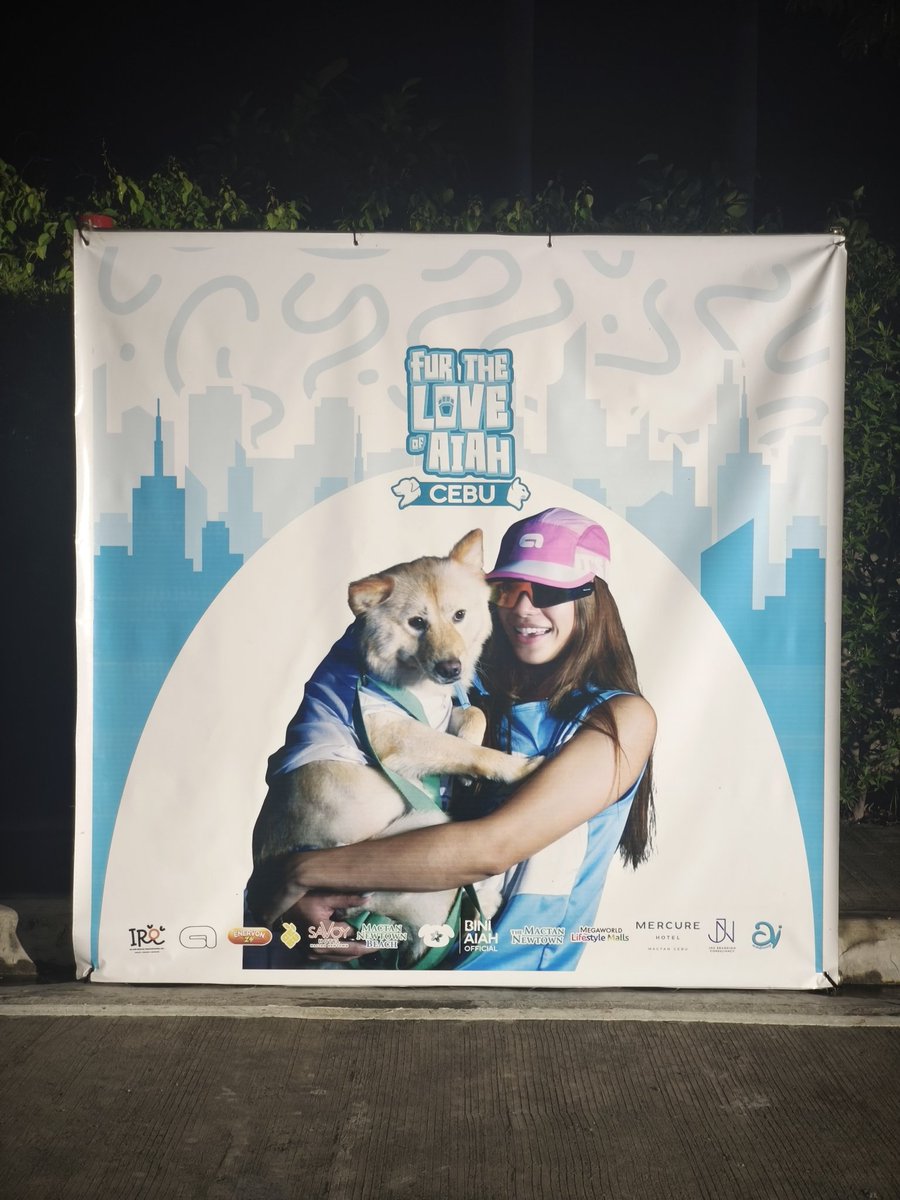 lnceee08's tweet photo. Congratulations to another successful FTLOA @BiniAiahOFC ๐ฅณ๐๐ป sobrang worth it yung pag rebook ko ng ticket pauwi. Looking forward sa next run ๐ซก
#FURtheLoveOfAiahLeg3 #FTLOACebu https://t.co/KP3OPdD9xy