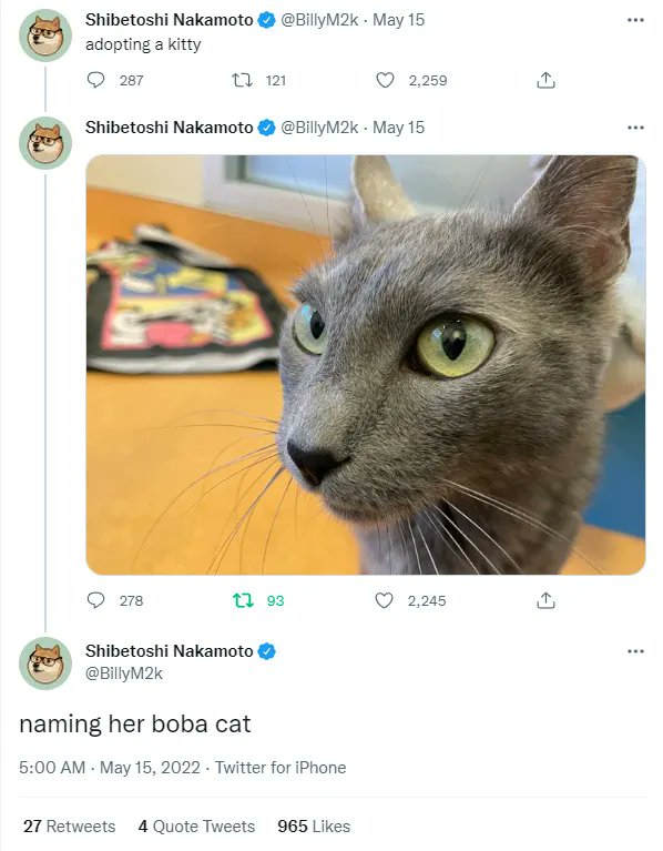 KΔℝΪℕℕΔ ₿ tweet media