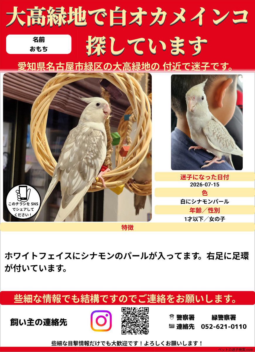 tetsuosan_chi's tweet photo. 拡散お願いします🤲

#オカメインコ
#迷子鳥 https://t.co/oSIaMlMDT3