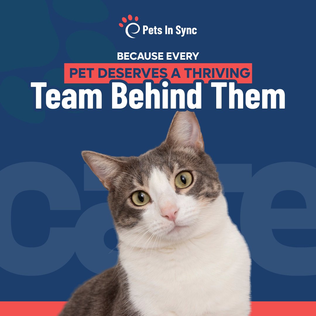 Petsinsync tweet picture