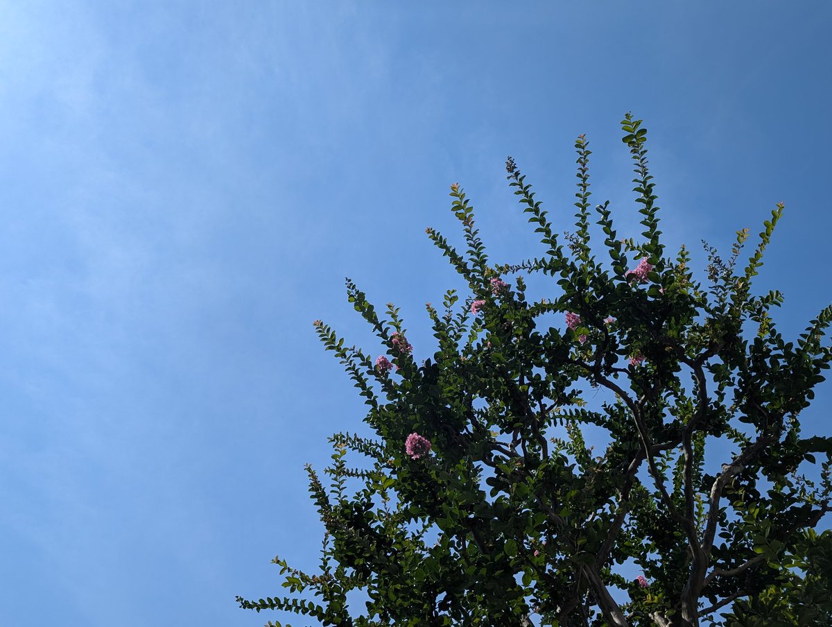 horialive's tweet photo. #イマソラ
#夏空 https://t.co/nVbTLr1DIG