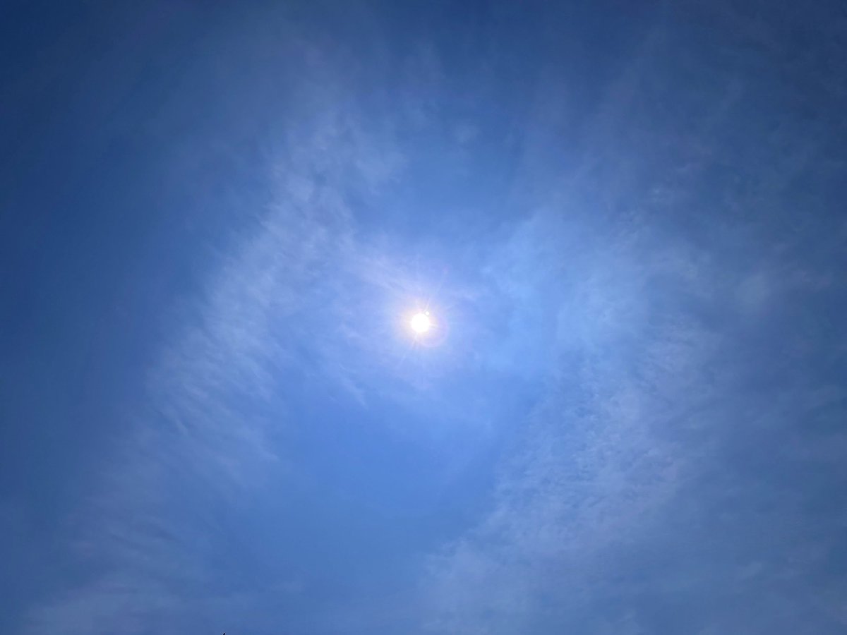 News28970712's tweet photo. 水分補給をしっかりと
良い午後を•*¨*•.¸¸.💙.*・゚
#Sora
#ヒルソラ
#イマソラ
2026-07-15 https://t.co/7FKDXz1dmd