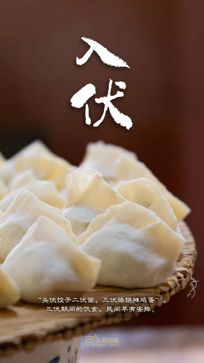 yunduo52888's tweet photo. 今日入伏，你吃饺子了吗？
#入伏 #三伏养生 https://t.co/q8coZPnaHO