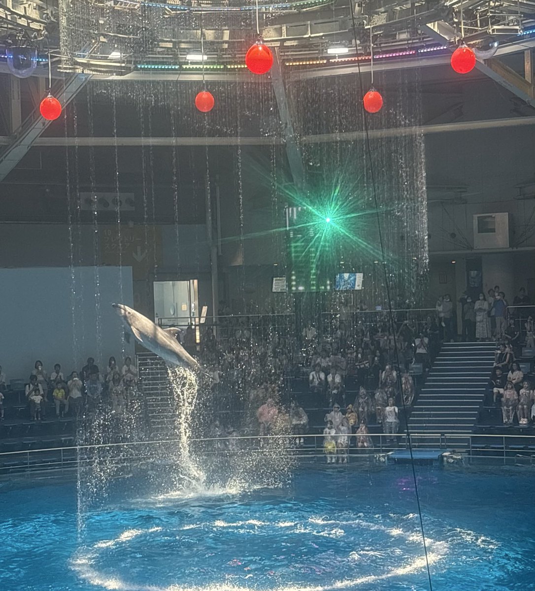 Runachitan's tweet photo. 癒しの場所✨️📸2

イルカショー🐬 https://t.co/eiGu9Azz1A