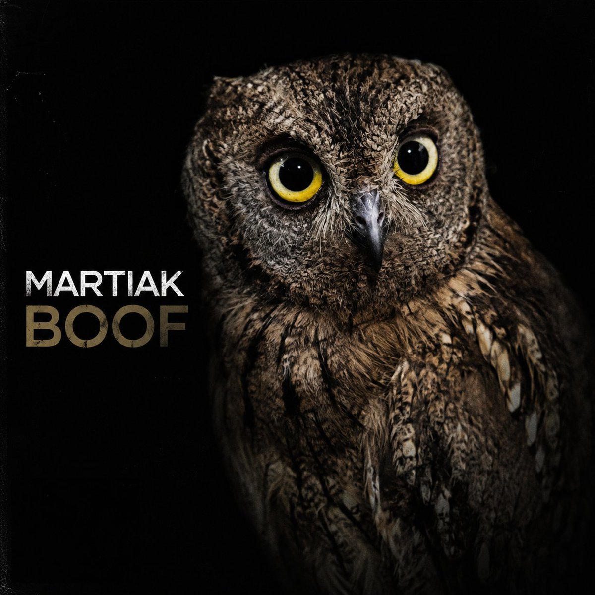 Martiak_Music's tweet photo. "Boof" EP is out
https://t.co/n5JMrqpix6 https://t.co/V88y2AFh4u