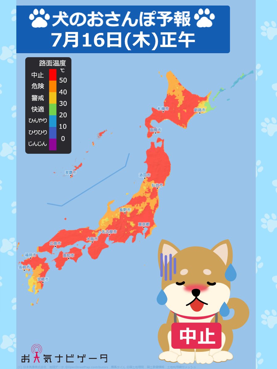 osanpo_inu's tweet photo. ╭━╮
あすの
╰ｖ╯
🌡犬のおさんぽ予報です🐶

あすも厳しい暑さが予想されます🥵
全国的におさんぽ中止エリアとなり、
アスファルトの路面温度は
50℃以上に達する見込みです🚨
私たち人も素手で触れられないほどの熱さです🔥
日中の危険な時間帯のおさんぽは、
肉球火傷や熱中症のリスクが高まります⚠️
愛犬を守るため、温度が下がる日没後や
早朝に時間をずらしてくださいね🐾

🐶犬のおさんぽ予報
https://t.co/hnC6BpbnUG