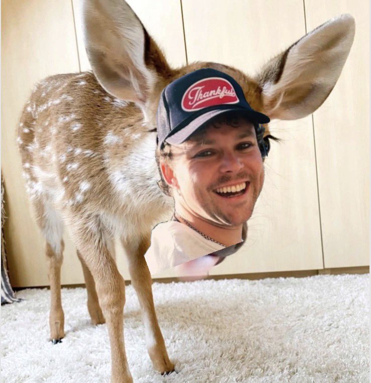 deersos🦌🦌 tweet media