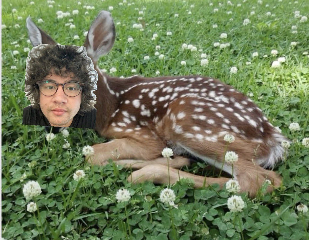 deersos🦌🦌 tweet media