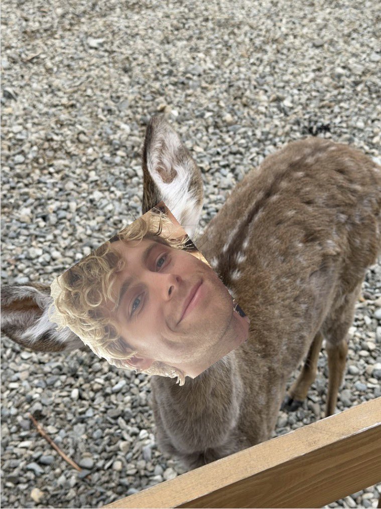 deersos🦌🦌 tweet media
