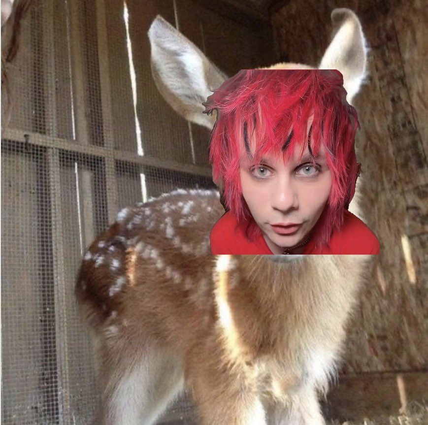 deersos🦌🦌 tweet media