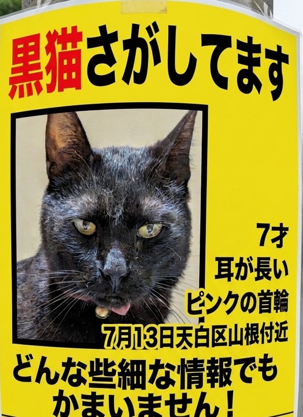 2jbqva's tweet photo. 助けてください😭😭😭!!!!
闘病中の黒猫が脱走しました。
名古屋市です。
#迷子
#迷い猫
#天白区
#黒猫 https://t.co/jMGfIMCW9L