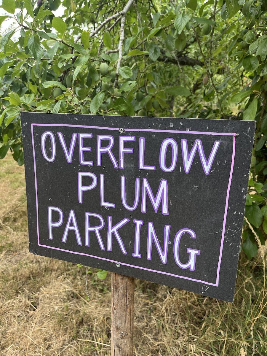 lingosia's tweet photo. #Handwriten pick your own plums sign at Burnham Thorpe, complete with a purple, plummy border @pmj_photos #PMJWeeklyChallenge https://t.co/ZYZgpCa6em