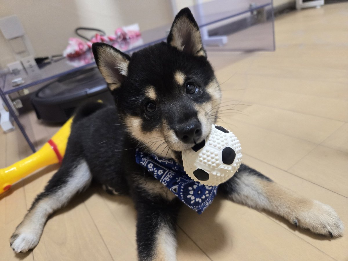 つむぎ tweet media