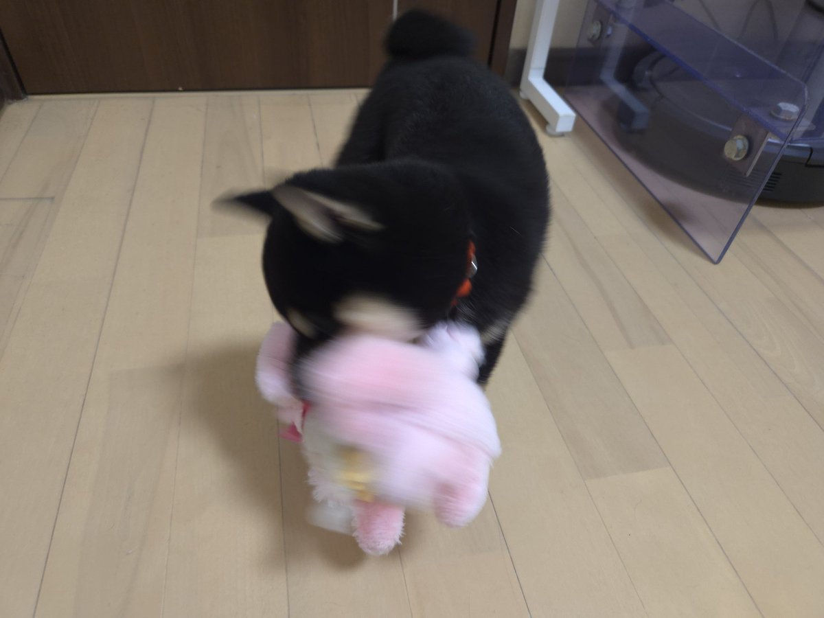 つむぎ tweet media