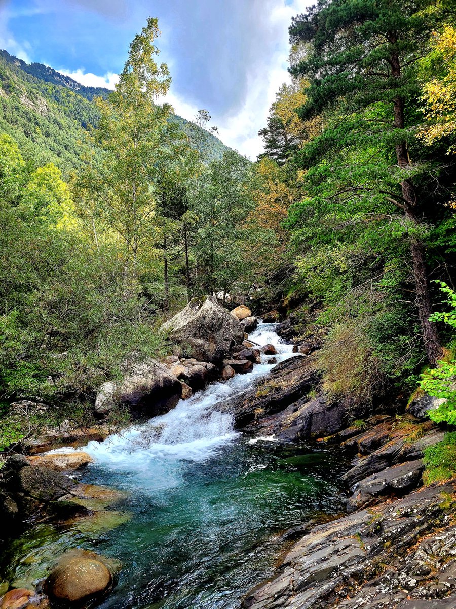 pipapipia's tweet photo. Rius meravellósos de l'alta muntanya. Nets, cristalins i d'aigües transparents.🌿💦🩵 https://t.co/ggF44zCQ1u