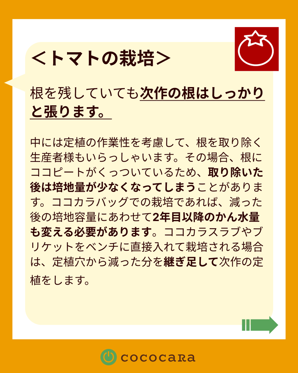 cococaRa2016's tweet photo. 【💭ココピート よくあるご質問💭】

ーQー
ココカラピートを2年連続で使用します。 培地に根が残っていても 大丈夫ですか？

ーAー
＜トマトの栽培＞
根を残していても次作の根はしっかりと張ります。
＜イチゴの栽培＞
根を取り除く生産者様が殆どです。 https://t.co/vaP5rcOych