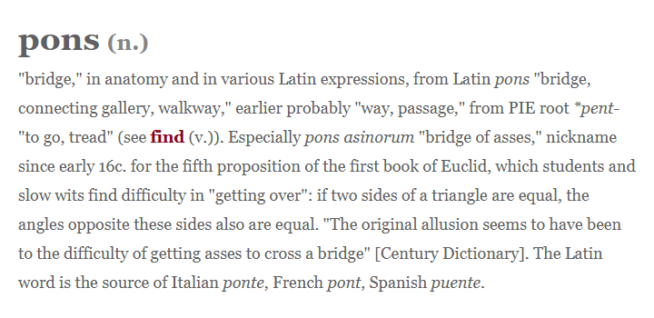 zilingct's tweet photo. "PONS" in Latin means "Bridge, Connecting Gallery, walkway, way, passage" 

PONS basically means THE WAY, the bridge from poor to rich, the way into success, the passage into finally getting out of the slums.

Anatomy: the "pons" in your brainstem
There's literally a structure in your brainstem called the pons, named because it looks like a bridge connecting the two halves of your cerebellum to the rest of your brain.

This is the big one. "Pontifex" (Roman high priest, now the Pope's title) is widely believed to literally mean "bridge maker," from pons ("bridge") and facere ("to make"). priests as literal/metaphorical bridge-builders between gods and men. 

The Pope's actual Twitter handle is @pontifex, and he even has a Latin-tweeting account @pontifex_ln. So somewhere in the etymology of "Pope," there's a hidden "pons."

PONS has always BEEN THE WAY.
https://t.co/u8HgARTEZA