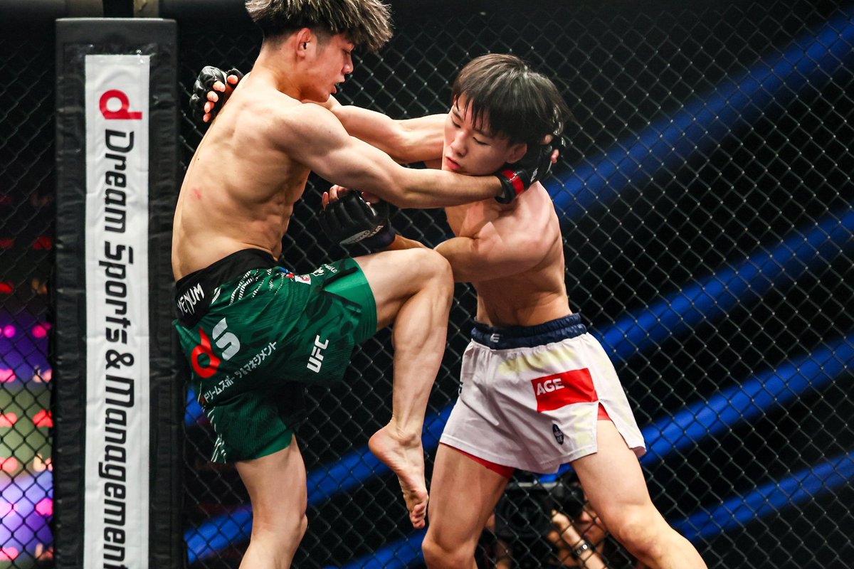 黒松　足元太くて将来有望です　コケ順良 7/13(月) NTT DOCOMO presents 【#Lemino修斗7】後楽園 @lemino_shooto