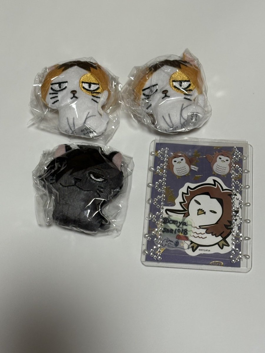 cmyasna1018's tweet photo. 交換　ハイキュー　どうぶつぷちマスコットぬいぐるみ

譲）クロオネコ1 ケンマネコ2
求） アカアシフクロウ3

都内手渡し又は郵送での交換希望です。
検索からでもお気軽にお声掛けください。 https://t.co/PiELaeozHW