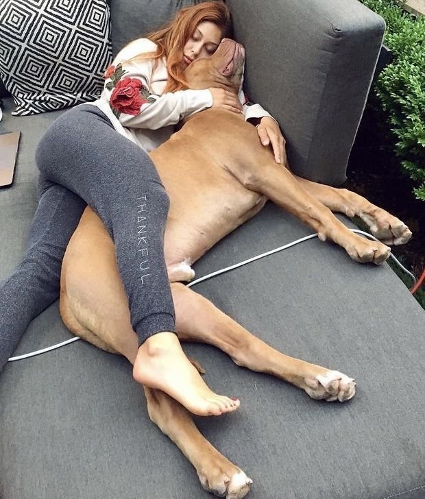 Coconutwaterfrr's tweet photo. https://t.co/eTUHGgLNXu
My dogs don’t just follow me  they complete me 🐾💕 
Ready for more adventures? Let’s have fun together. Stay connected! https://t.co/WE0ndXZa8r