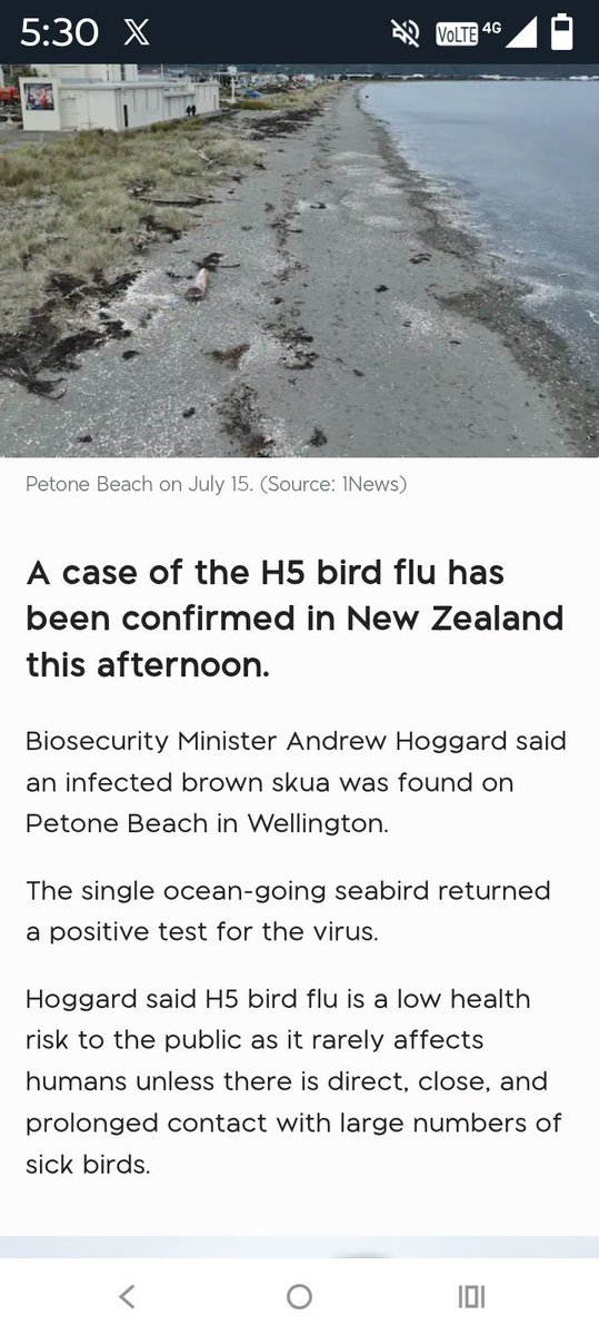 Wildnfree1984's tweet photo. OK, so let me get this straight the infected bird just happened to land &amp; die on Petone beach, 800 metres from the MPI office at 40 Bouverie St, Petone? 
Oh come on 🤦🏼‍♀️🤣 you can’t be serious, he should have just landed on their doorstep to save time - coincidence? I think not 🤣 https://t.co/vDlBJFGfia