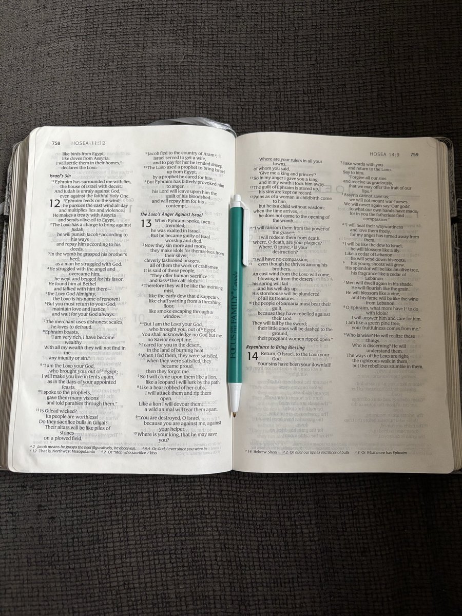 JoelHodlman's tweet photo. GM!

Back at it this morning. I am reminded not to rely on my own strength but that of the strength of the Lord! https://t.co/OZXseOIIhR